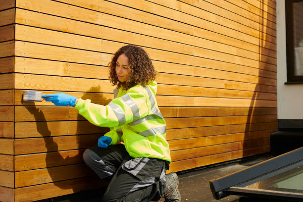 Best Siding Removal and Disposal  in Dakota Ridge, CO